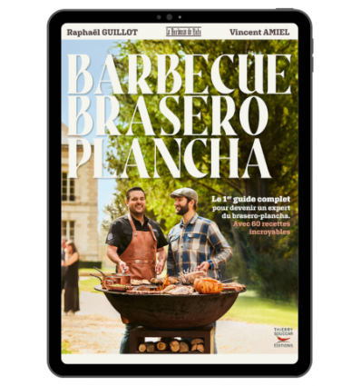 Barbecue Brasero Plancha - Ebook (Format EPUB)