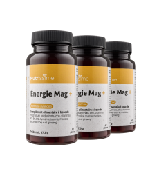 Magnésium "Énergie Mag+" 60 gélules - Lot de 3 flacons