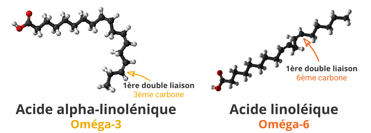 Molécules oméga3 & oméga 6