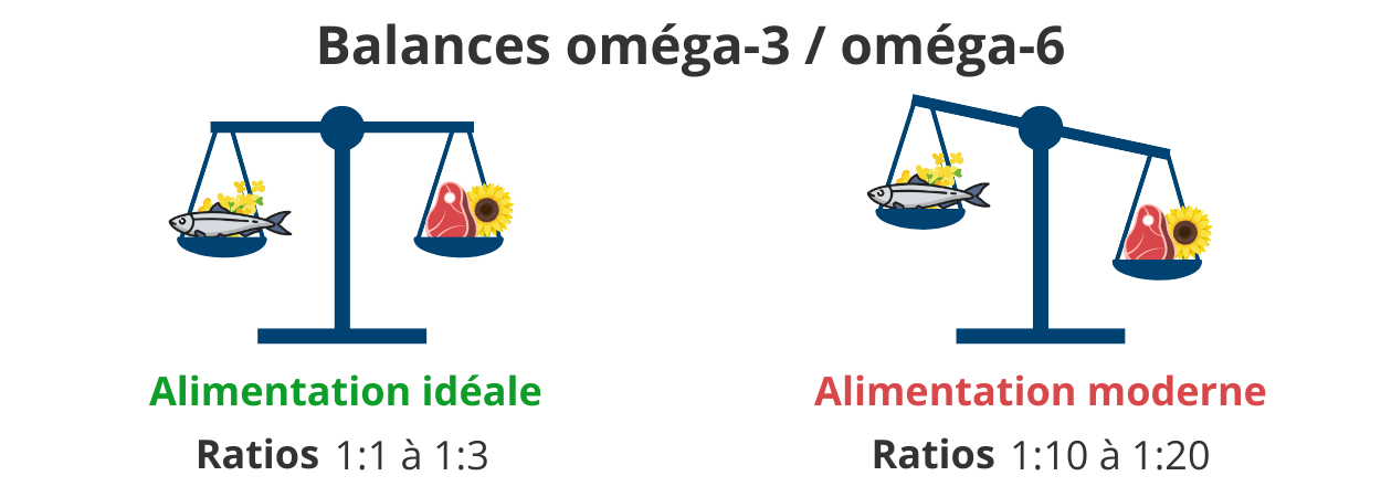 Ratio Oméga 3 / oméga 6